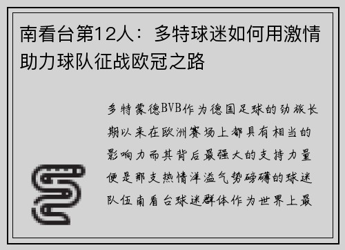 南看台第12人:多特球迷如何用激情助力球队征战欧冠之路